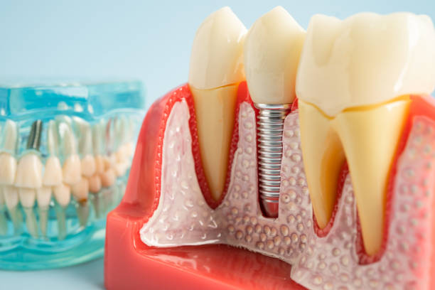 Best Emergency Dental Care  in Forest Park, IL